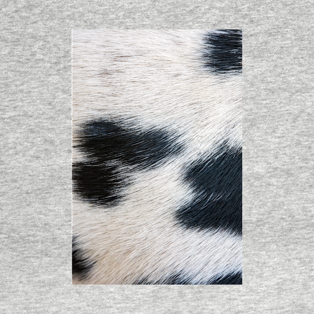 Dalmatian Fur by mooonthemoon